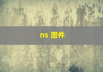 ns 固件